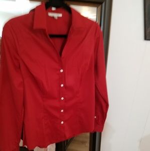 QUINTESSENTIAL BUTTON DOWN SHIRT